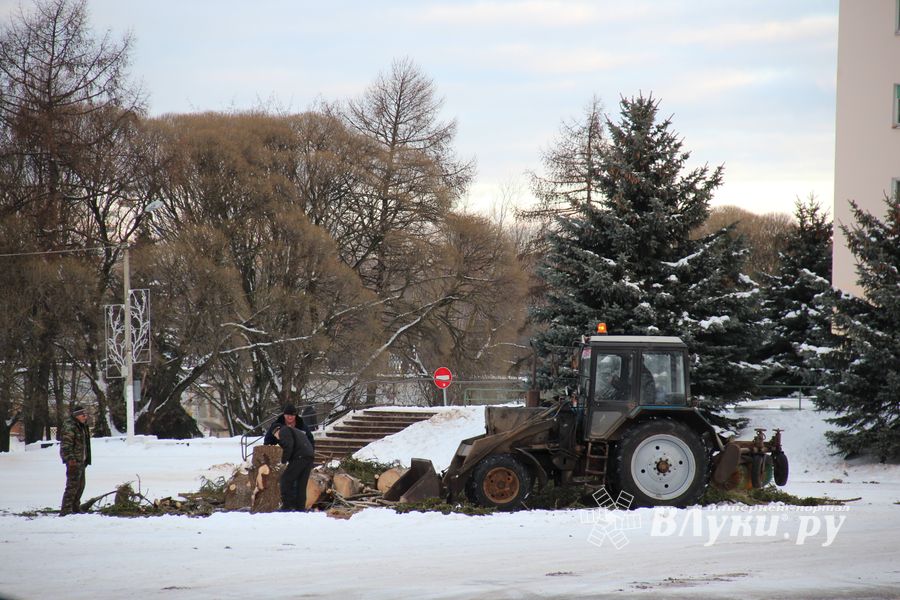 Главная городская ёлка отправилась на свалку (ФОТО)