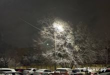 Прогноз погоды на 22 января в Великих Луках