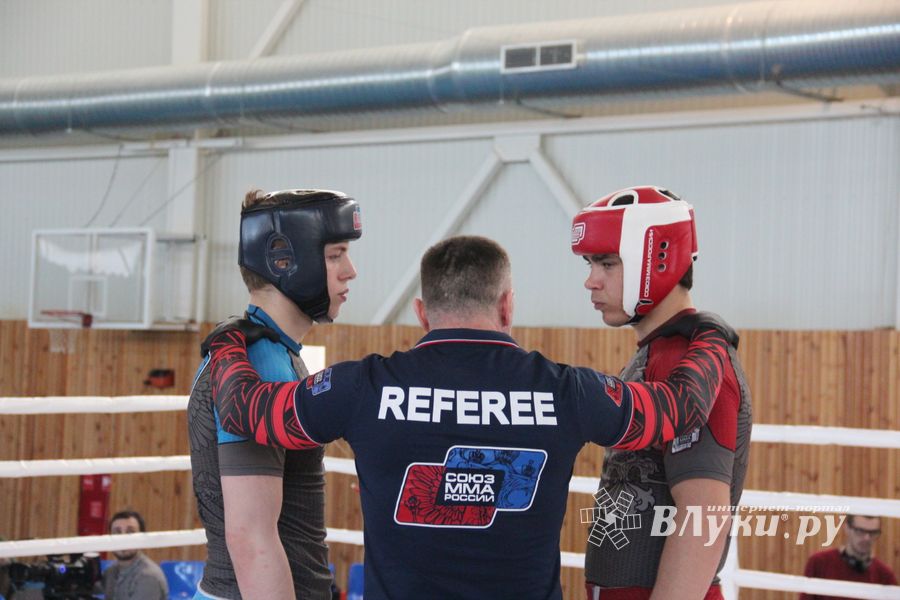 В Великих Луках завершилось Первенство России среди юношей по смешанному боевому единоборству ММА (ФОТО)