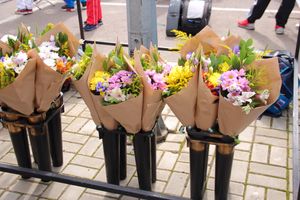 В Великих Луках проходит Чемпионат России по стрельбе из лука (ФОТО)