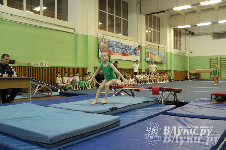 В Великих Луках состоялось Первенство по командной гимнастике (фото)