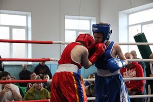 В Великих Луках завершились соревнования по боксу (ФОТО)