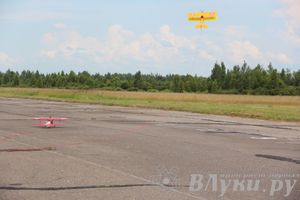 В Великих Луках прошли воздушные бои (фото)