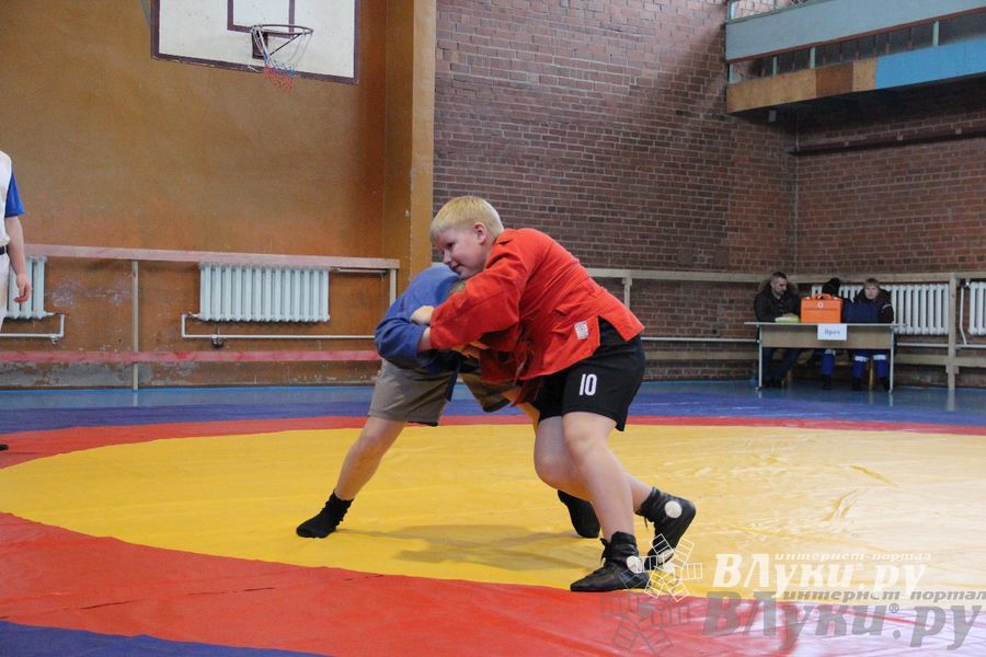 Состоялось Открытое первенство города Великие Луки по борьбе самбо