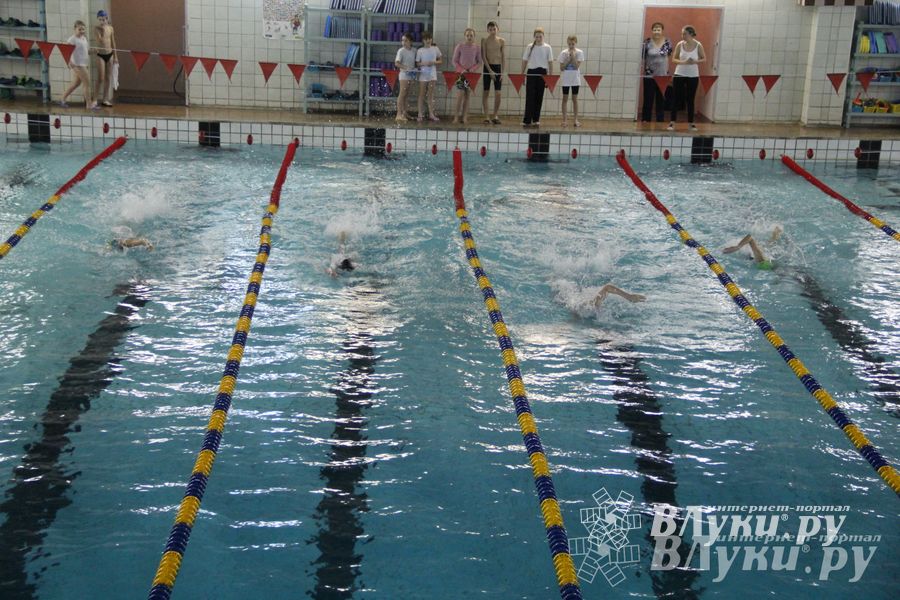В Великих Луках прошло Первенство по плаванию (фото)