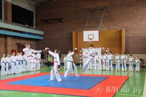 В Великих Луках прошло Первенство по тхэквондо (фото)