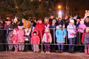 В Великих Луках петуха сменили на собак (ФОТО)