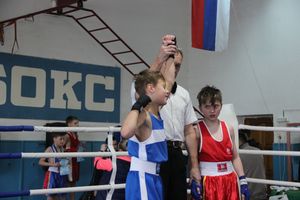 Юные великолучане выявили сильнейших боксёров (ФОТО)