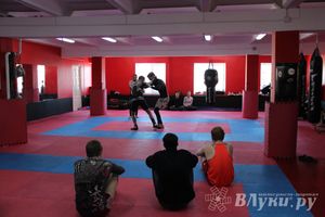 Открытое первенство по грепплингу (фото)