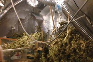 В Псковской области завершилась операция «Мак» (фото)