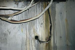 Великие Луки горели (фото)