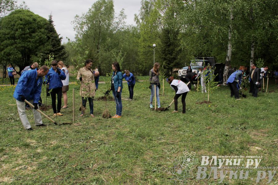 В Великих Луках посадили берёзы в рамках Всероссийской акции (ФОТО)