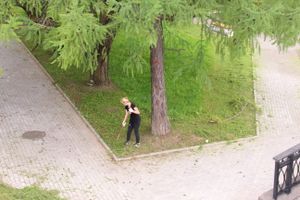 В Великих Луках сажают, стригут и красят (ФОТО)