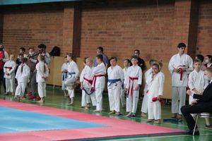 Открытый Кубок города Великие Луки по каратэ WKF (ФОТО)