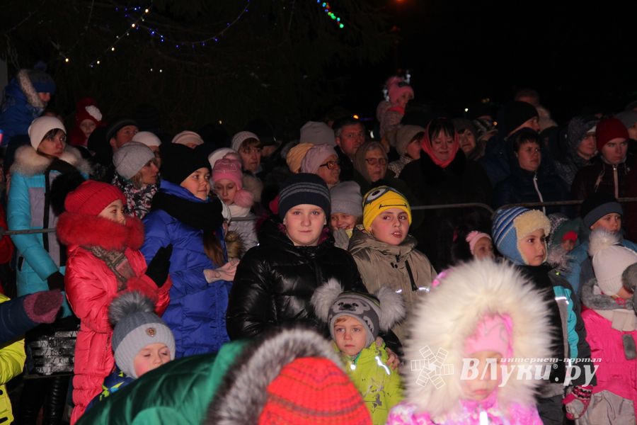 В Великих Луках зажгли Ёлку (ФОТО)