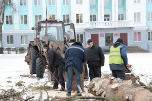 Главная городская ёлка отправилась на свалку (ФОТО)