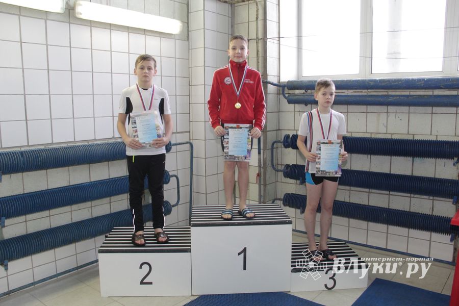 В Великих Луках прошли соревнования по плаванию «Быстрый Кашалот»