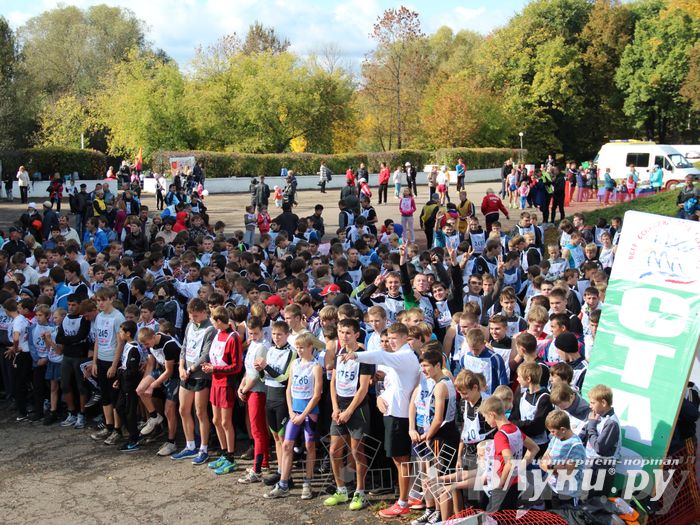 Кросс нации