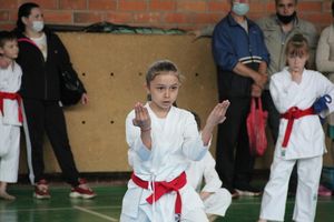 Открытый Кубок города Великие Луки по каратэ WKF (ФОТО)