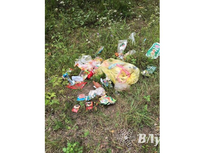 Особенности национальной дороги (ФОТО)