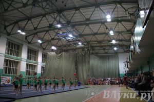 «Парад гимнастики» прошел в Великих Луках (фото)