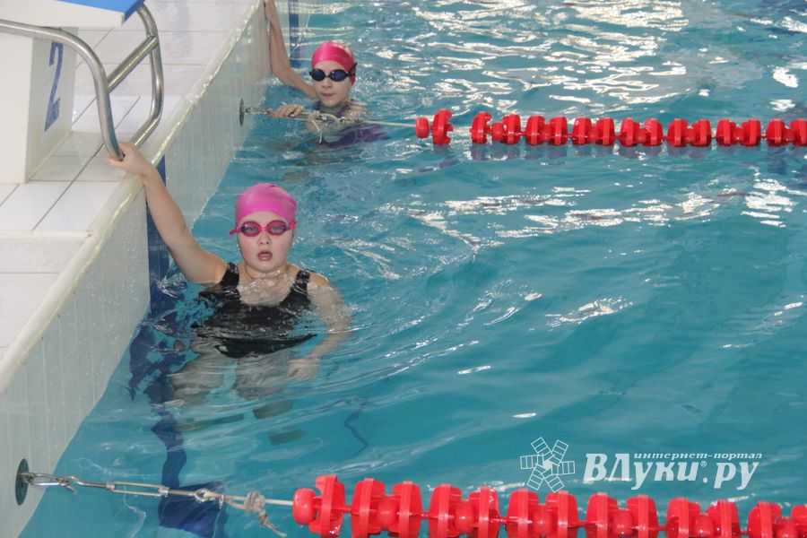 В Великих Луках прошли соревнования по плаванию «Быстрый Кашалот»