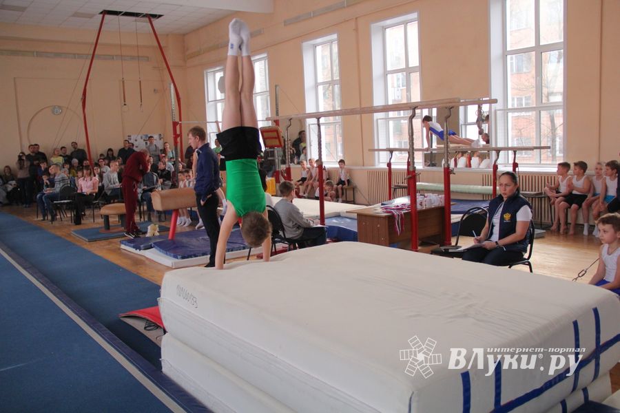 В ДЮСШ «Атлетика» прошли соревнования по спортивной гимнастике (ФОТО)