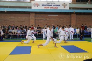 Великолучане стали победителями турнира по каратэ «Неприкосновенный запас, дети — Отчизны 2015» (фото)