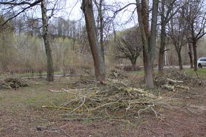 На острове Дятлинка проходит субботник