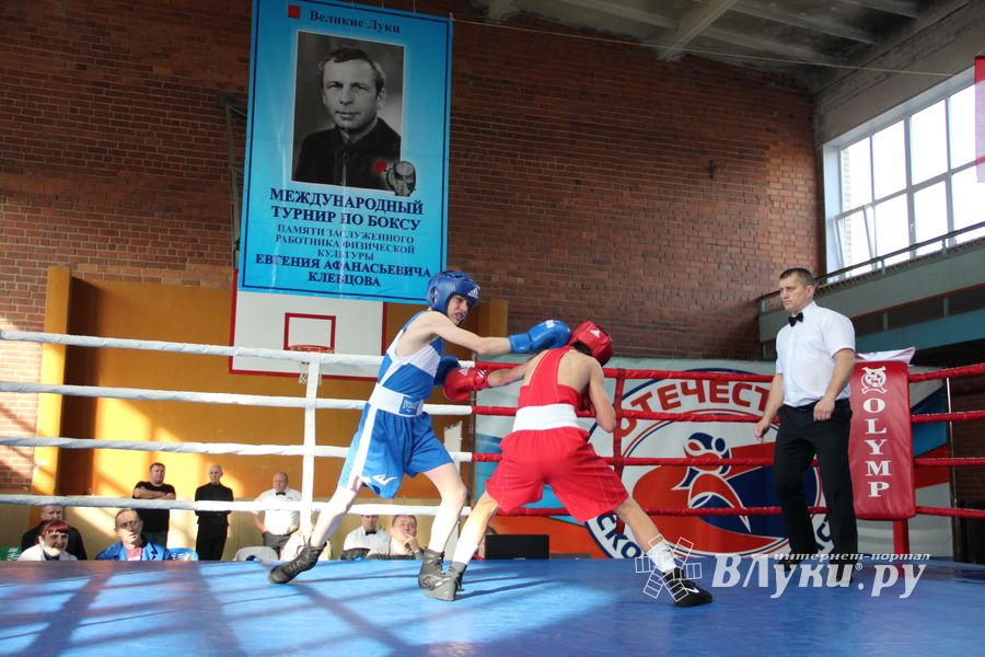 В Великих Луках прошел турнир по боксу памяти Е. Клевцова (ФОТО)