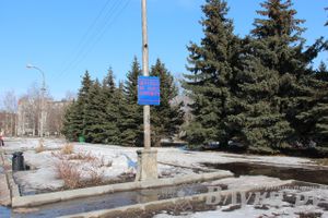 Весенний день