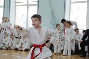 В Великих Луках прошел  турнир по Шотокан каратэ