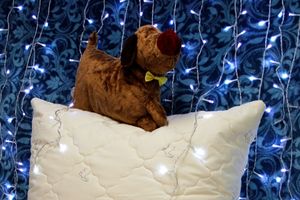 Пора покупать тёплые и яркие новогодние подарки (ФОТО)