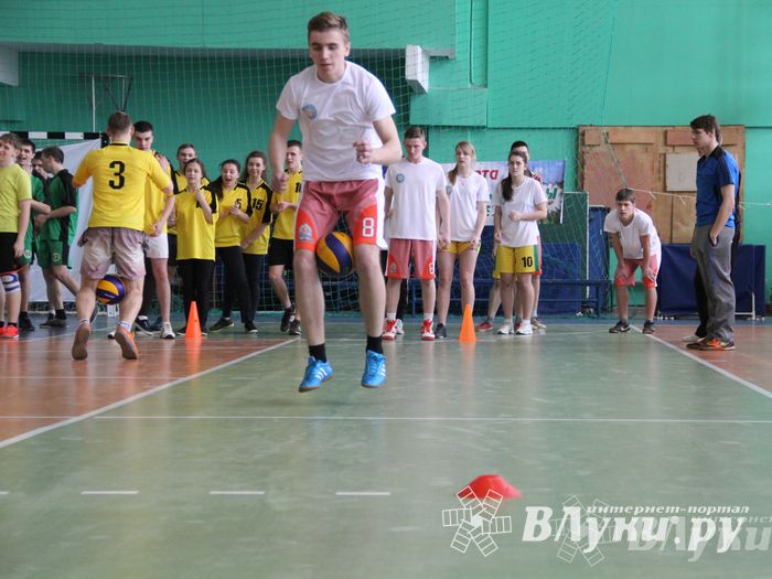 В Великих Луках прошли соревнования на Кубок Красного Креста