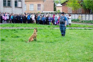 Школьники Великих Лук познакомились с работой служебных собак (ФОТО)
