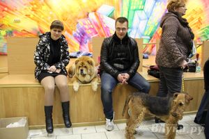 Всероссийская выставка собак в Великих Луках (фото)