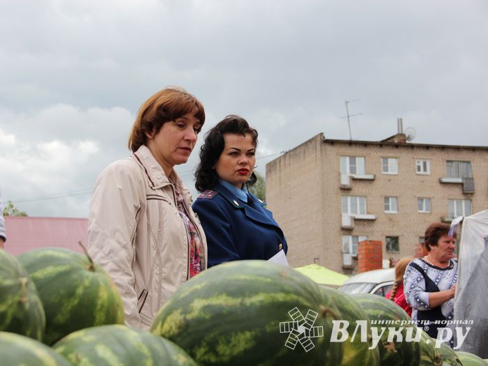 В Великих Луках проверили бахчевые (ФОТО)