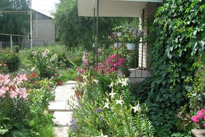 Подведены итоги конкурса по благоустройству поселка Переслегино (фото)