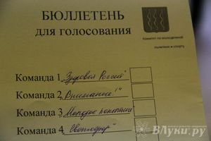 В Великих Луках прошла игра «Молодой политик» (фото)