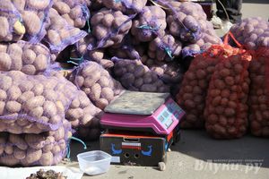 Универсальная торговая ярмарка «Весна-2015» прошла в Великих Луках (фото)