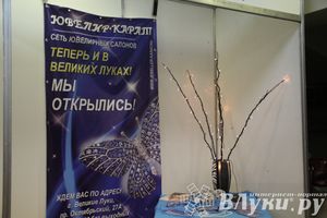 Универсальная выставка проходит в Великих Луках (фото)