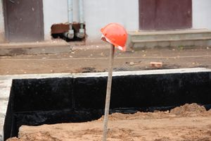 В скором времени нерадивых великолучан станет проще изолировать (ФОТО)