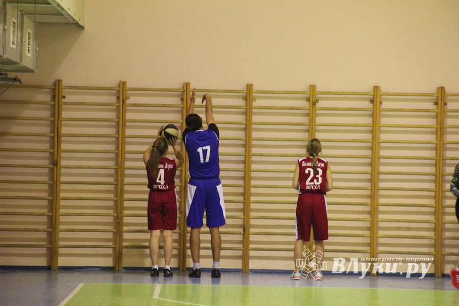 В ВГСХА прошёл мастер-класс по баскетболу (ФОТО)