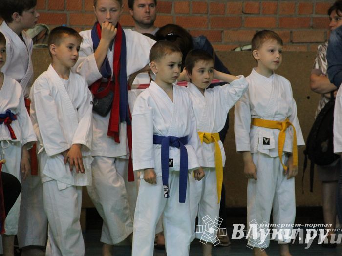 Великолучане стали победителями турнира по каратэ «Неприкосновенный запас, дети — Отчизны 2015» (фото)