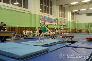 В Великих Луках состоялось Первенство по командной гимнастике (фото)