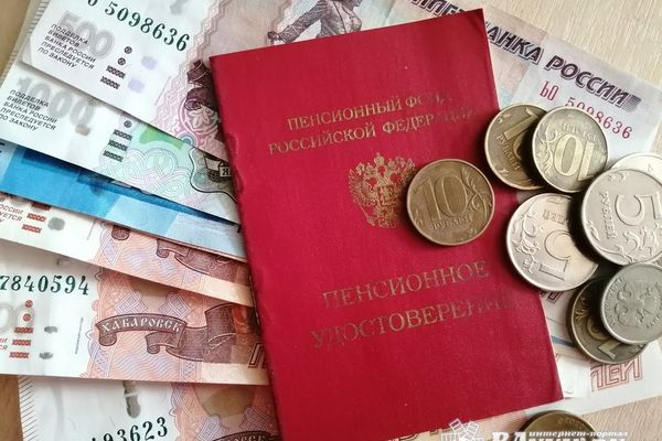 Электронное удостоверение пенсионера будет автоматически появляться на «Госуслугах»