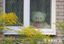 Прогноз погоды в Великих Луках на 27 августа