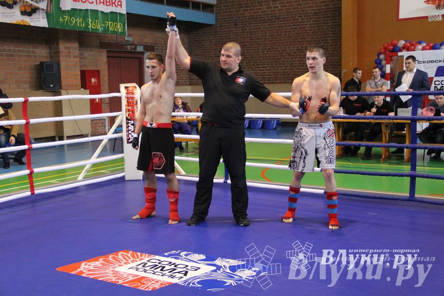 В Великих Луках прошел межрегиональный Открытый Кубок по смешанному боевому единоборству (фото)