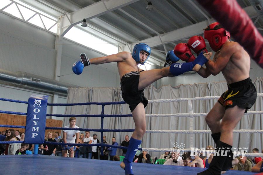 1-й Фестиваль боевых искусств состоялся в Великих Луках  (ФОТО)