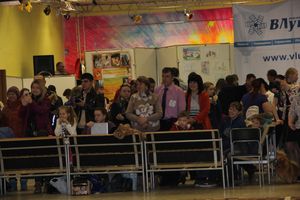 Всероссийская выставка собак в Великих Луках (фото)